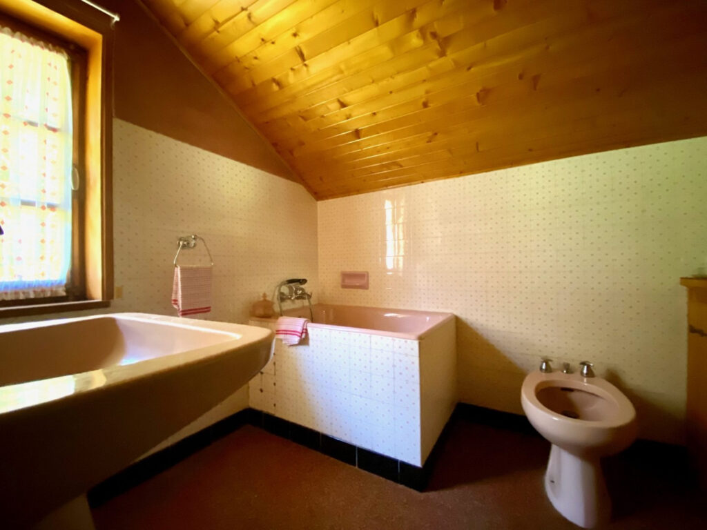 Chalet typique avec vue image 5