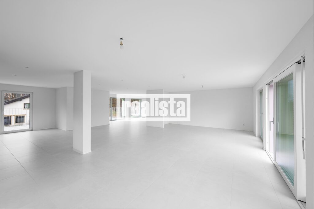 Attique de standing avec vue exceptionnelle image 1